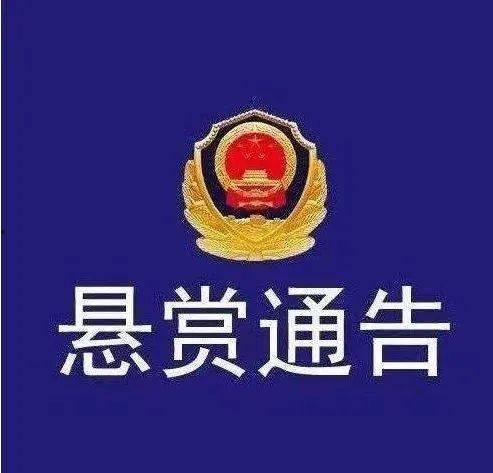 广东梅州爆料案件最新,案情揭秘,真相渐浮水面