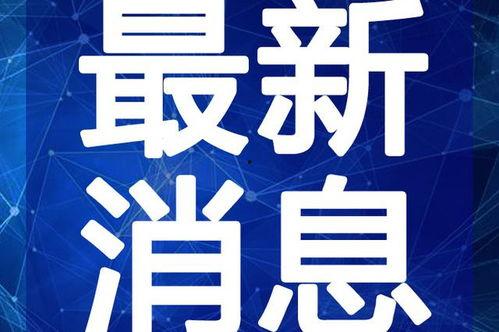周公子天涯爆料最新视频,揭秘幕后黑幕,揭开惊人真相